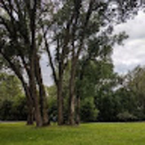 Meet your Posher, Lindy